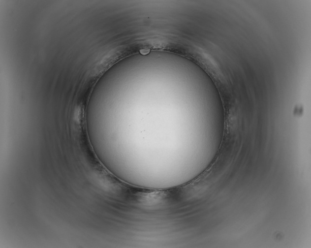 X0000090980122200708161904