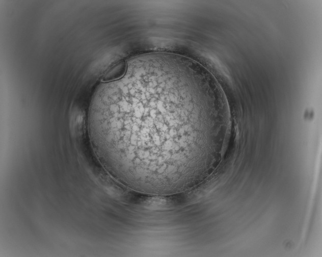 X0000090980123200708161904