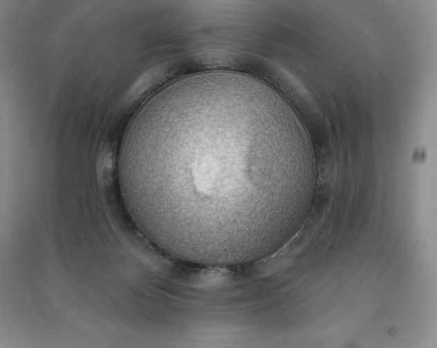 X0000090980124200708161904