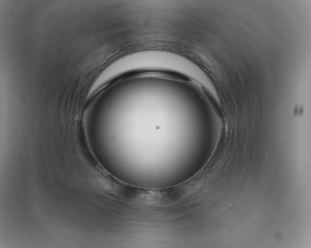 X0000090980125200708161904