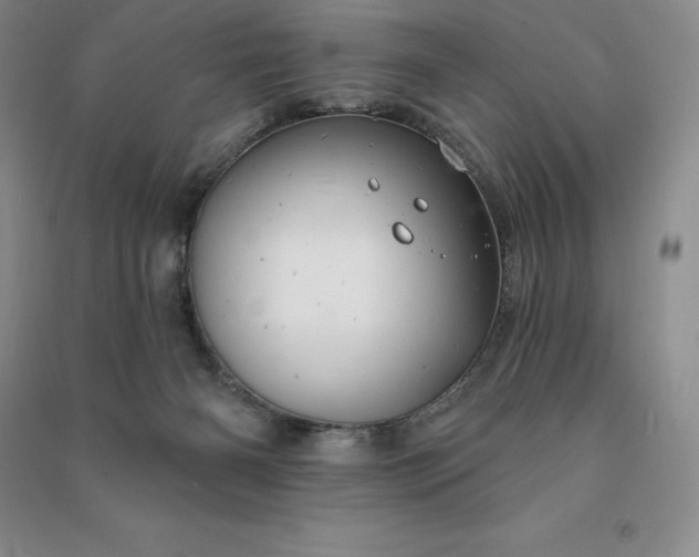 X0000090980126200708161904