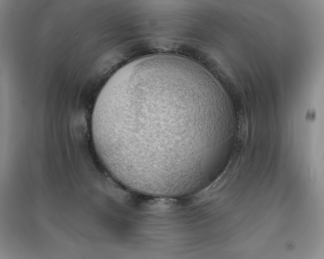 X0000090980128200708161904