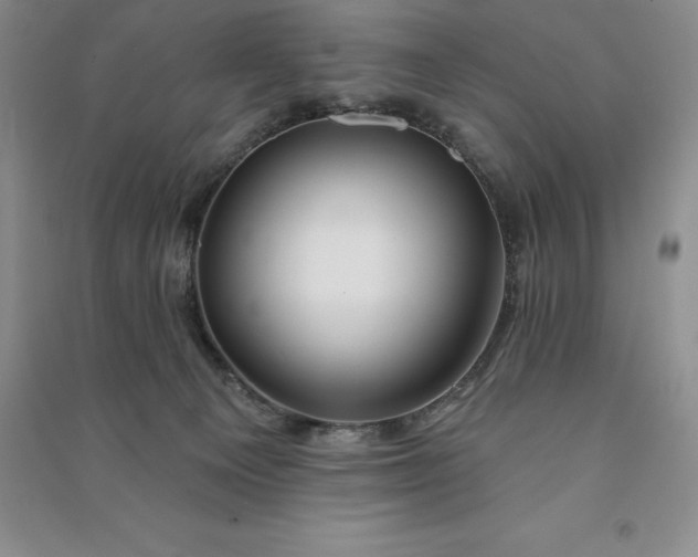 X0000090980129200708161904