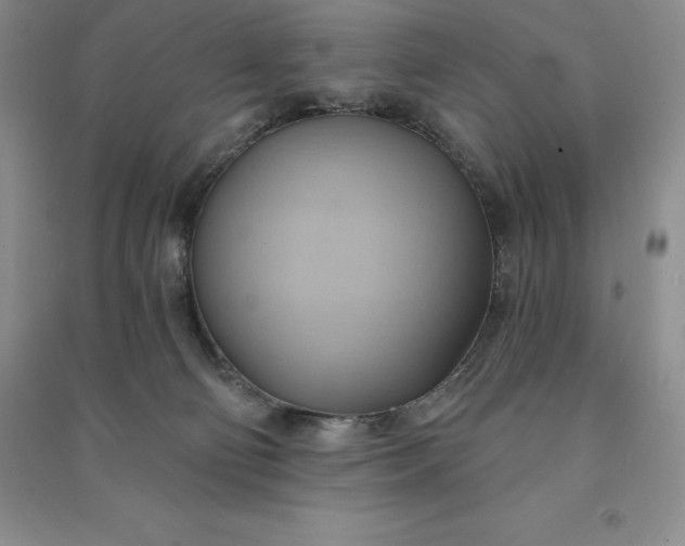 X0000090980130200708161904