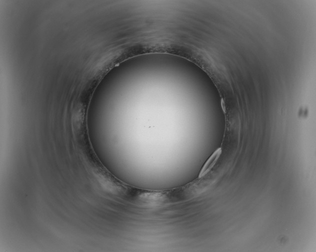 X0000090980133200708161904