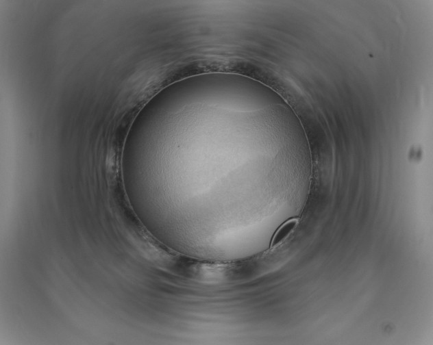 X0000090980134200708161904