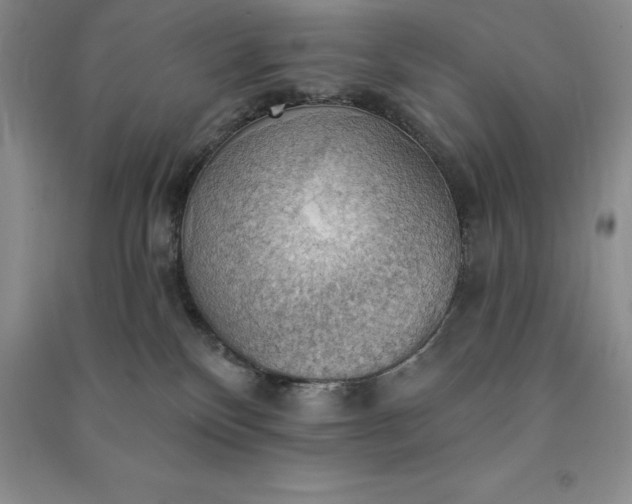 X0000090980136200708161904