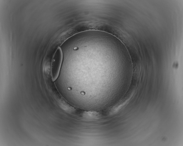 X0000090980137200708161904