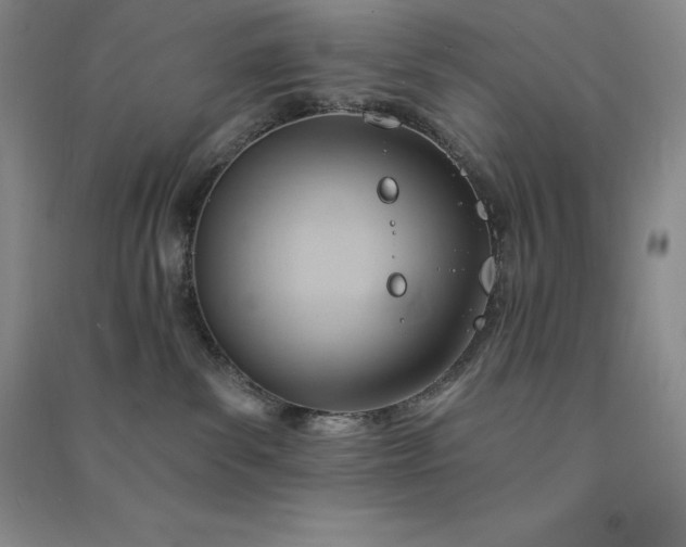 X0000090980139200708161904