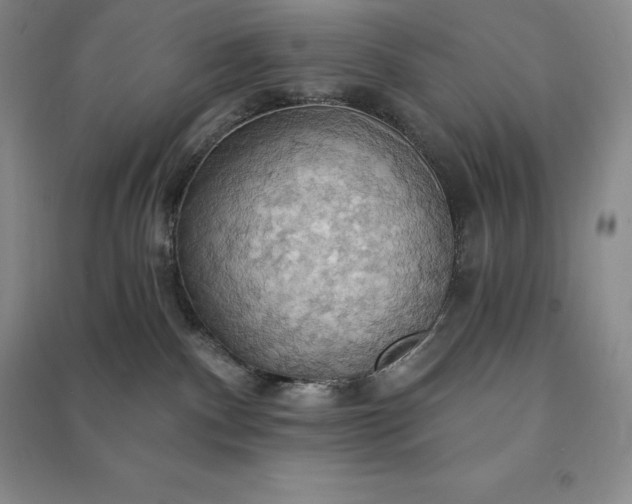 X0000090980140200708161904