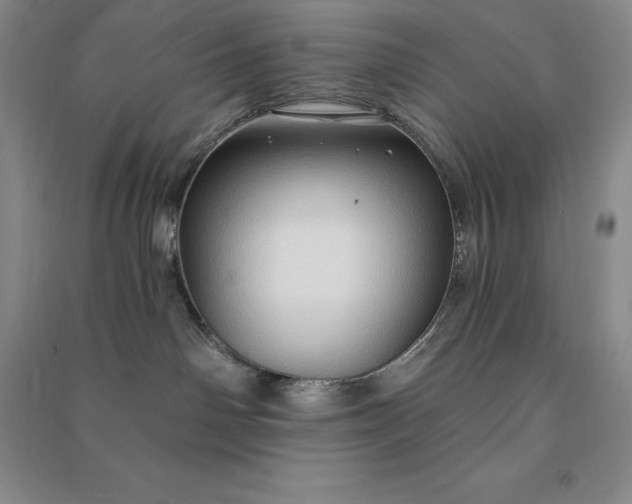X0000090980142200708161904