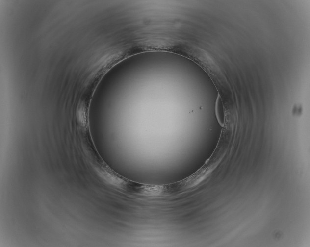X0000090980143200708161904