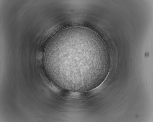 X0000090980144200708161904