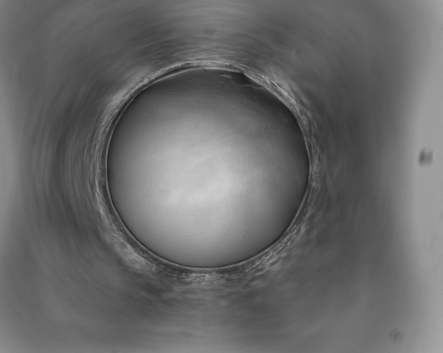 X0000090980145200708161903