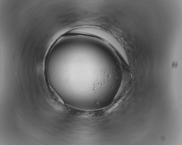 X0000090980148200708161903