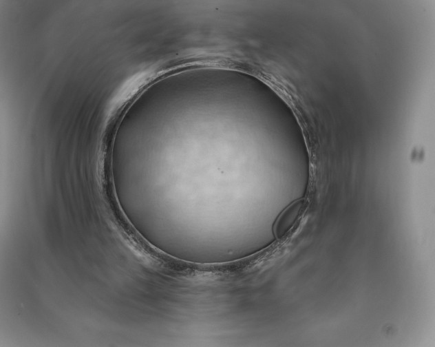 X0000090980149200708161903
