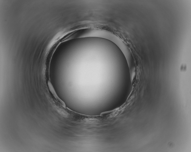 X0000090980150200708161903