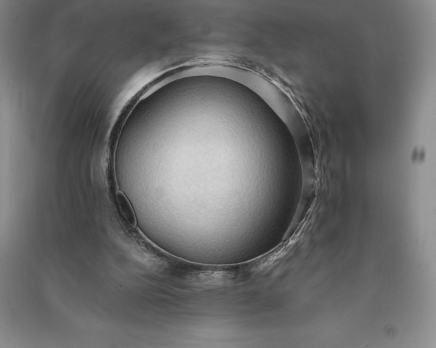 X0000090980152200708161903
