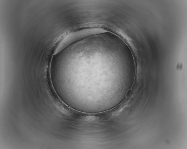 X0000090980153200708161903