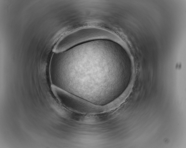 X0000090980154200708161903