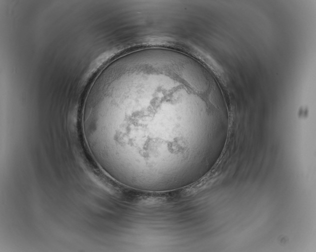 X0000090980155200708161903