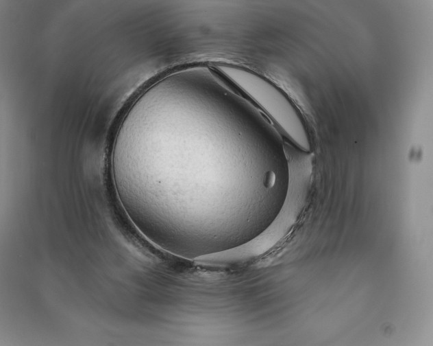 X0000090980156200708161903