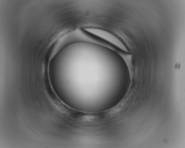 X0000090980158200708161903