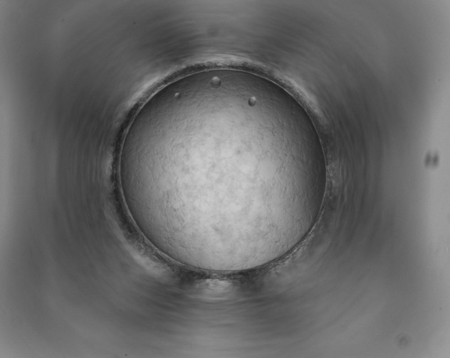 X0000090980159200708161903
