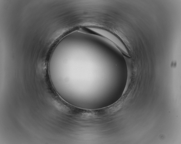 X0000090980160200708161903