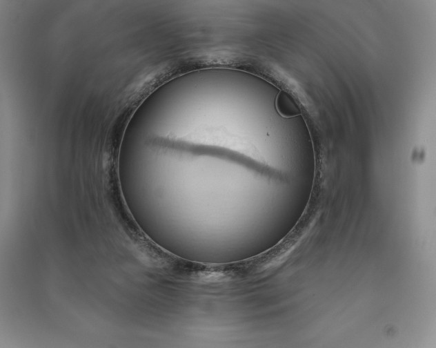 X0000090980161200708161903