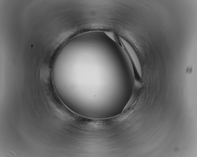 X0000090980164200708161903