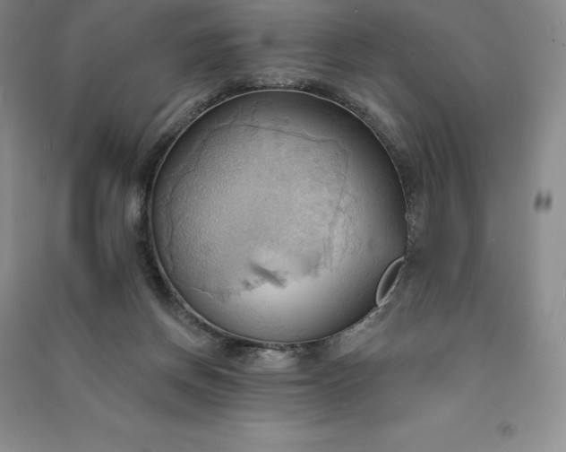 X0000090980166200708161903