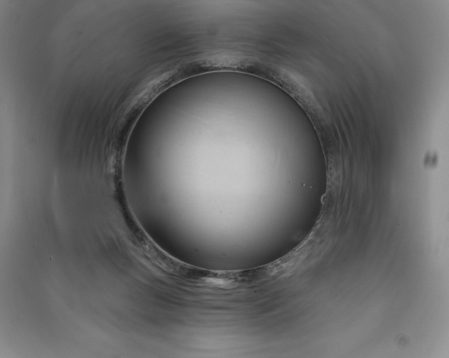 X0000090980167200708161903