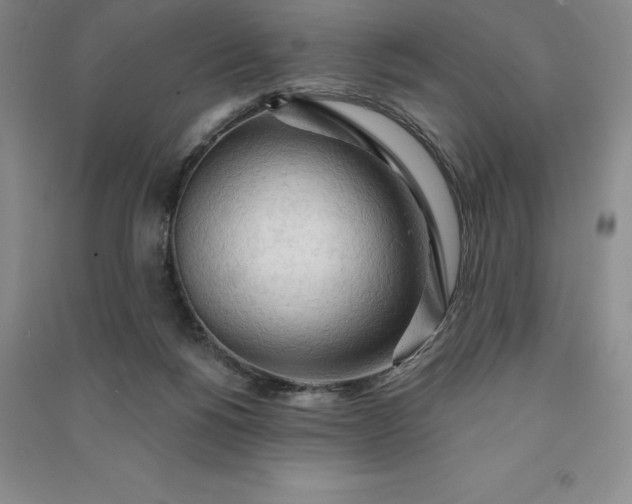 X0000090980168200708161903