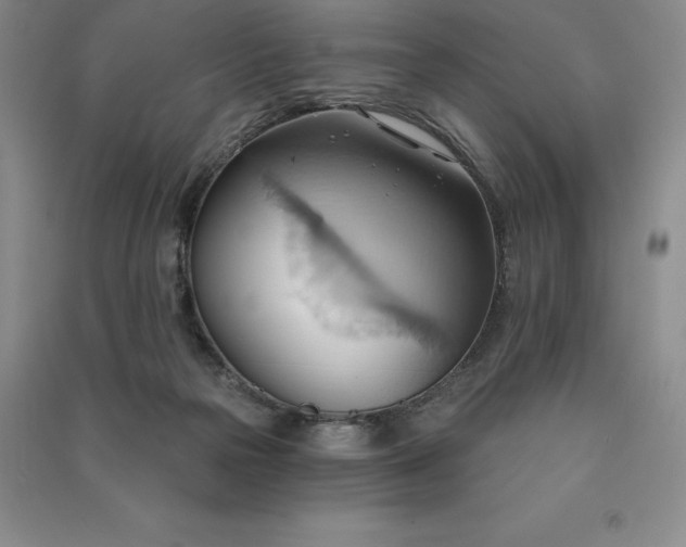 X0000090980169200708161903