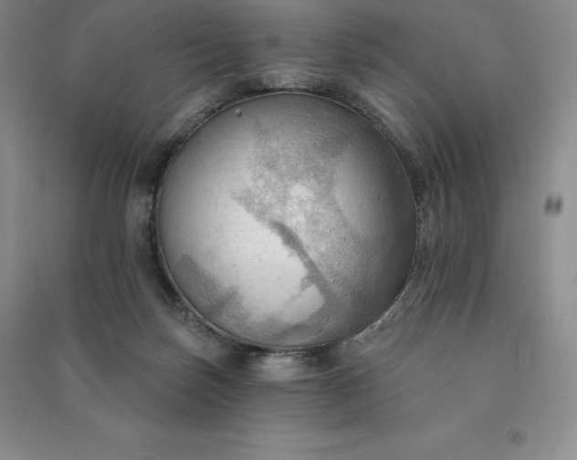 X0000090980171200708161903