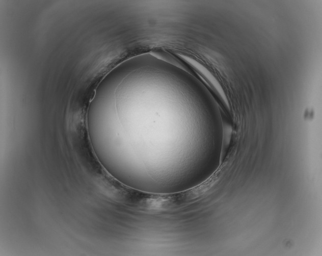 X0000090980172200708161903
