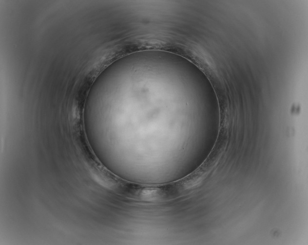 X0000090980173200708161903