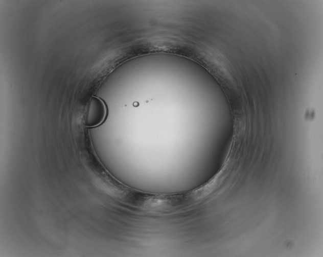 X0000090980174200708161903