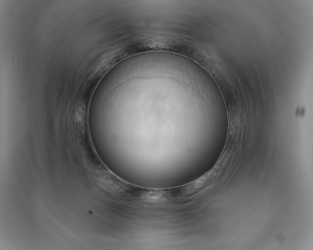 X0000090980175200708161903
