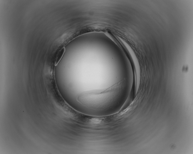 X0000090980176200708161903