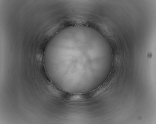 X0000090980177200708161903