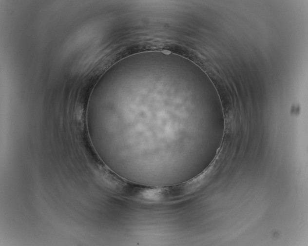 X0000090980178200708161903