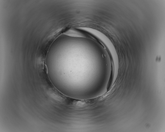 X0000090980180200708161903