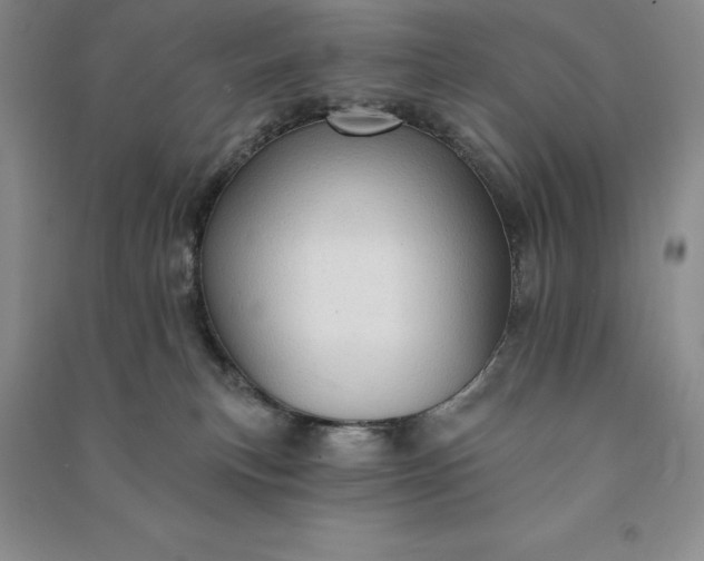 X0000090980183200708161903