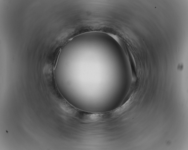 X0000090980184200708161903