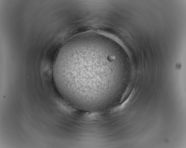 X0000090980186200708161903