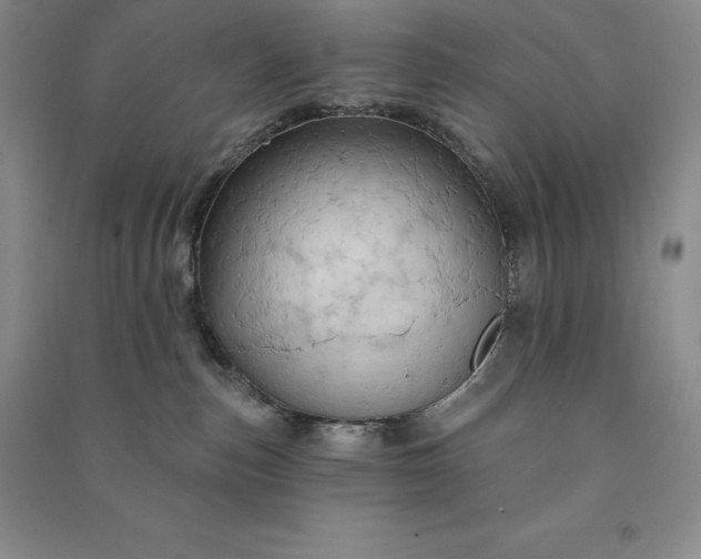 X0000090980187200708161903