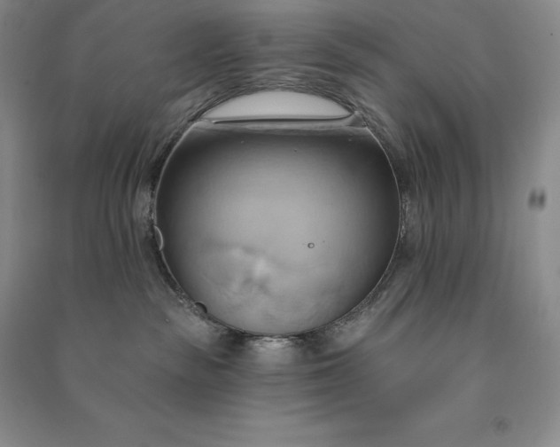 X0000090980189200708161903