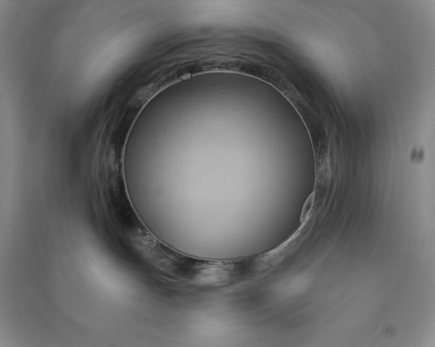 X0000090980191200708161904